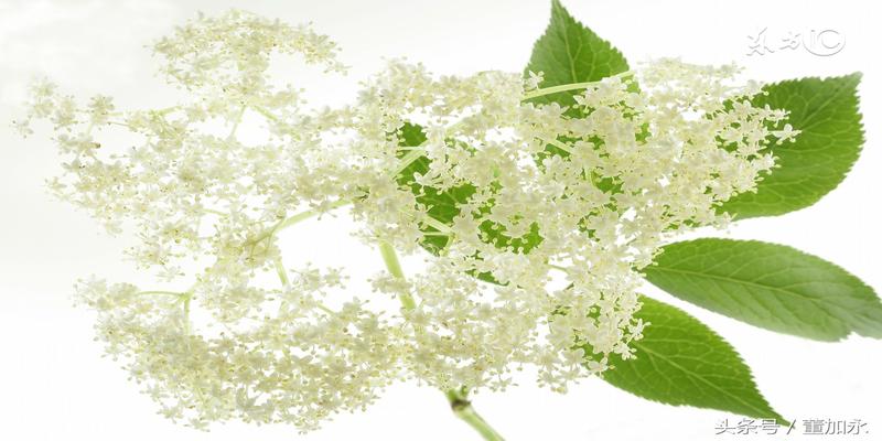 2004年7月20日的生辰八字(注定二婚命的生肖)