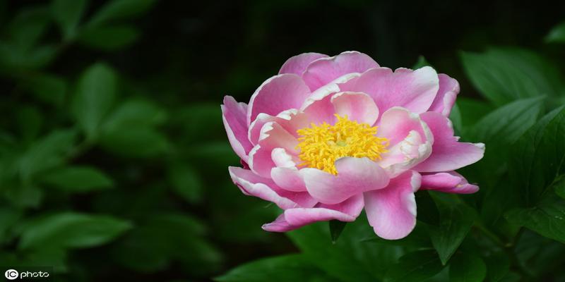 八字命理断事技巧,一看八字就能断准的秘诀,不外传的算命方法