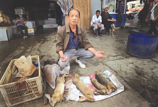 实拍农村集市上的“稀奇”野味，最后一种不要尝试，预示不吉之兆！