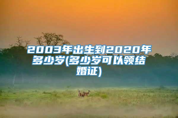 2003年出生到2020年多少岁(多少岁可以领结婚证)