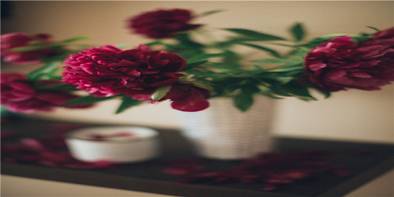 娱乐圈最喜庆的一天,4对夫妻结婚,日剧女神怀孕,有人却犯错了