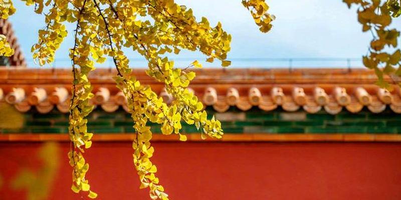 太极一词源于《易经 》(易经中的太极是什么意思)