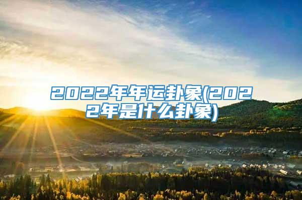 2022年年运卦象(2022年是什么卦象)