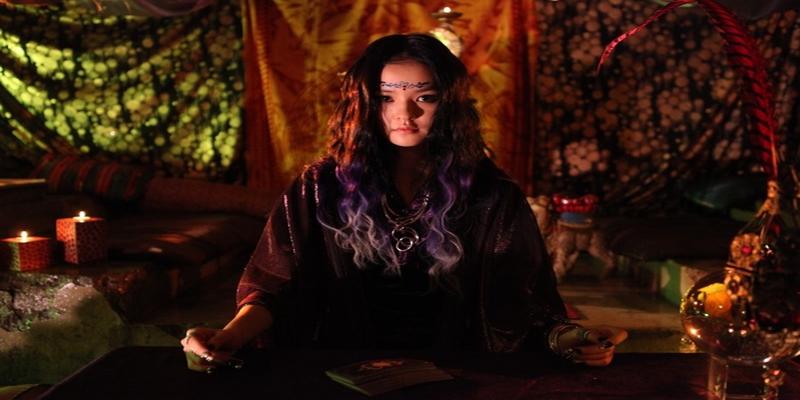 梅花易数是六爻吗(塔罗牌为什么会比算命更准一些)