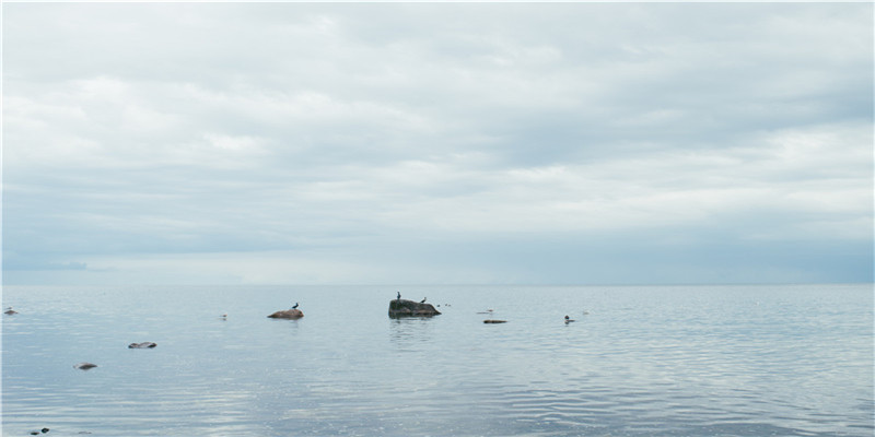 贵圈男星眉毛大赏！三角形这位是我的年度笑点