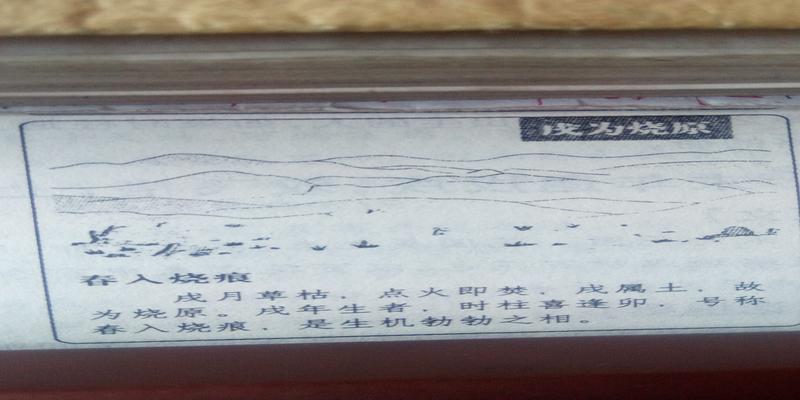 神奇的梅花易数……教你占卜,最简单准确的预测法