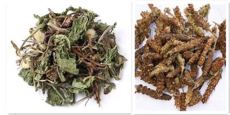 国医大师吕景山:治疗脾胃病用药经验