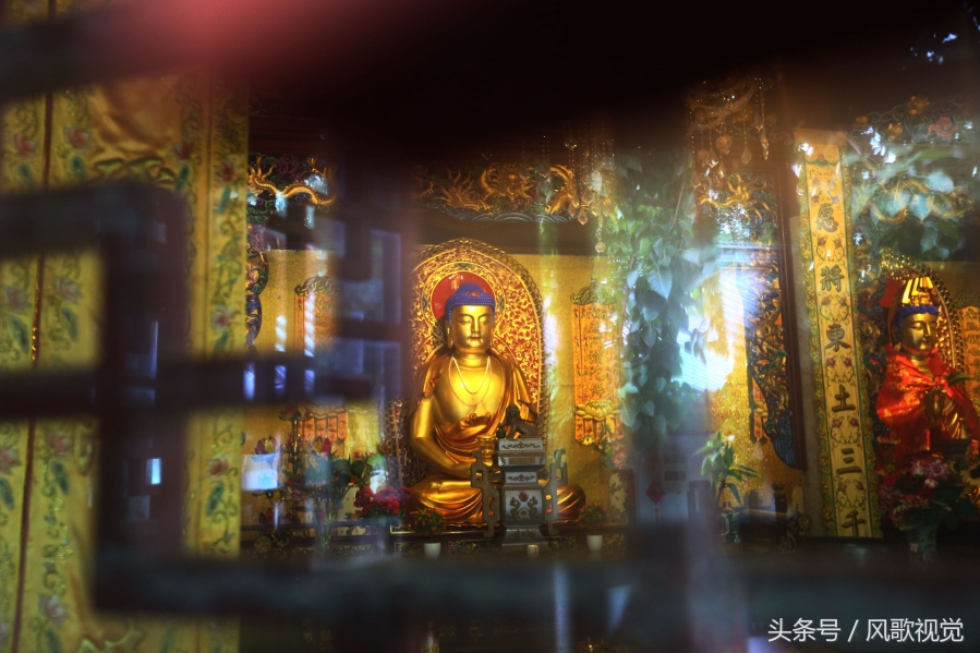 中国南端佛教道场有个地方叫“南山别院”，人称“老庙”，特灵
