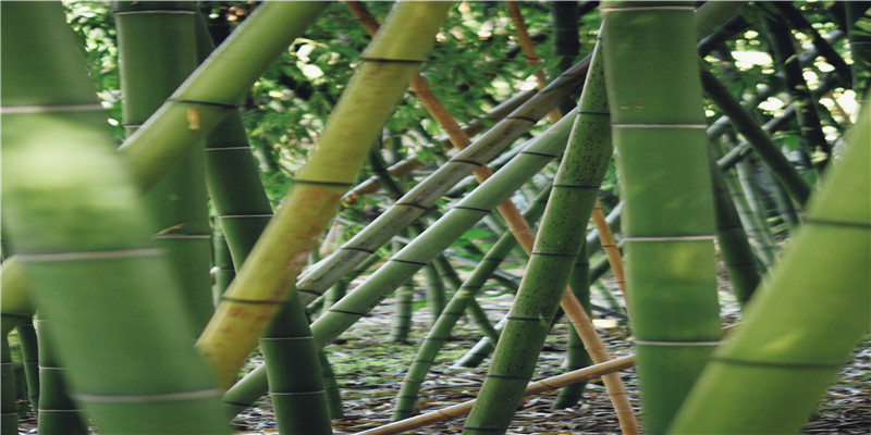 2022年开年,85花感情出现大变化!刘诗诗陷风波,杨幂杨颖情谊深