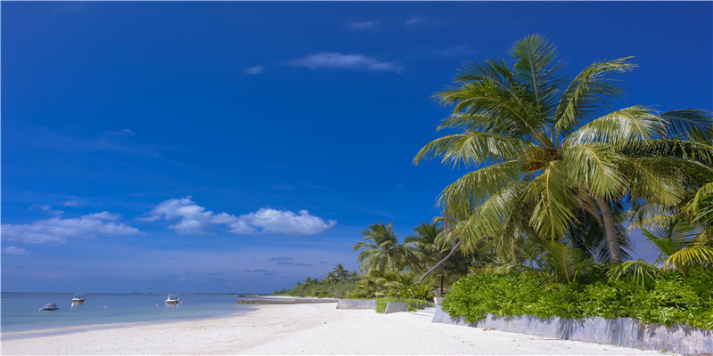 2022年1月3日出生的男孩起名(2022年出生的宝宝取名字)