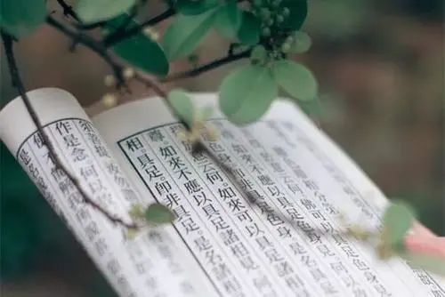 女孩为什么不能学易经(南怀瑾的告诫)