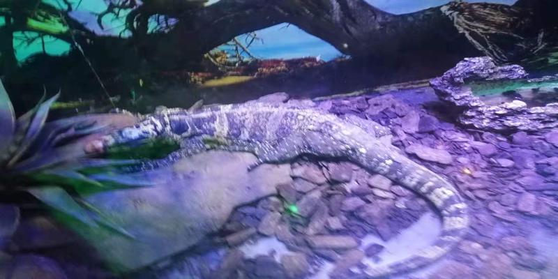 八字带金和土的名字有哪些(怎样起个好名字)