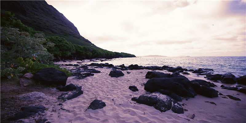 46年属狗人寿命多长75岁(虚岁75岁属什么生肖)