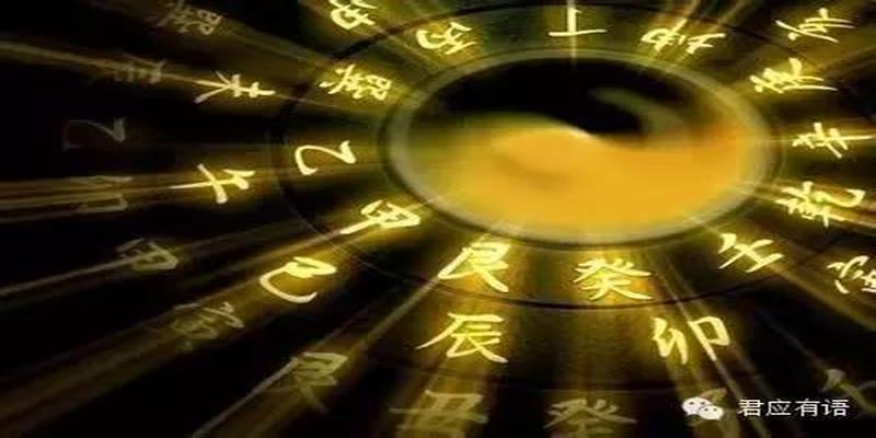 梅花易数离卦详解(传统文化易经八卦之和我一起读梅花14)