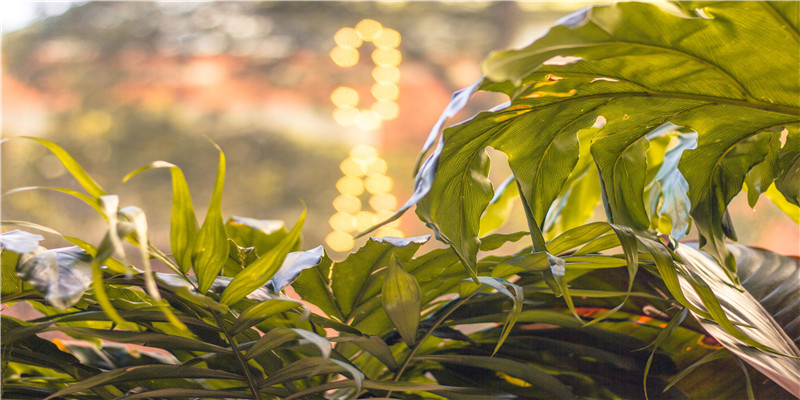 北京算命最准的地方在哪里(它是北京“算命起名一条街”)