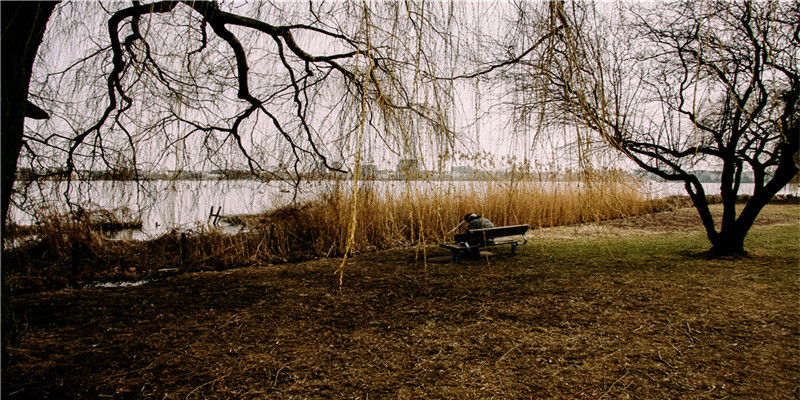 宝宝取名免费(双胞胎取名字大全男孩)