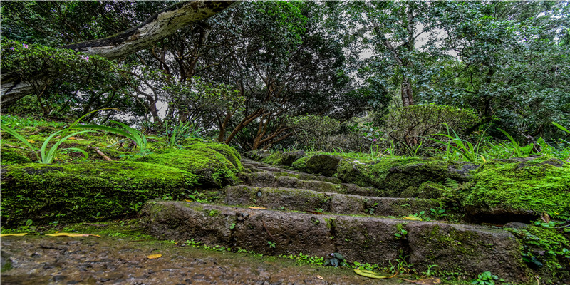 民国相士仇庆云算命很准,为何算不出妻子会背叛?女助手讲出实情