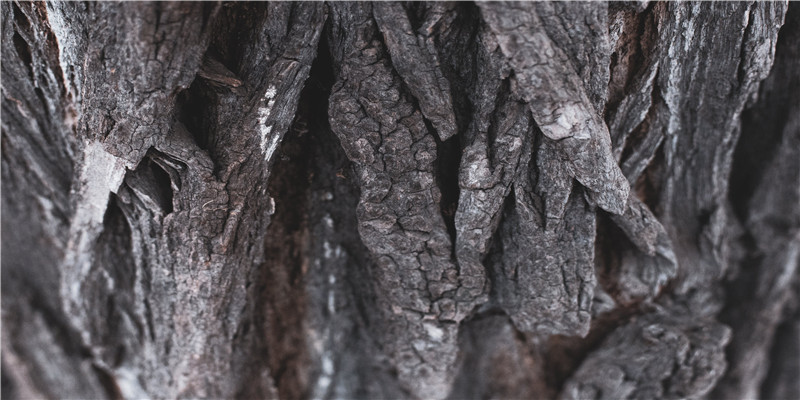 算结婚日子方法(20220222)