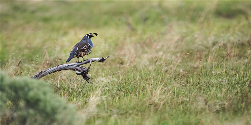 凌晨12点是什么时辰(沐晨真实梦境记录)