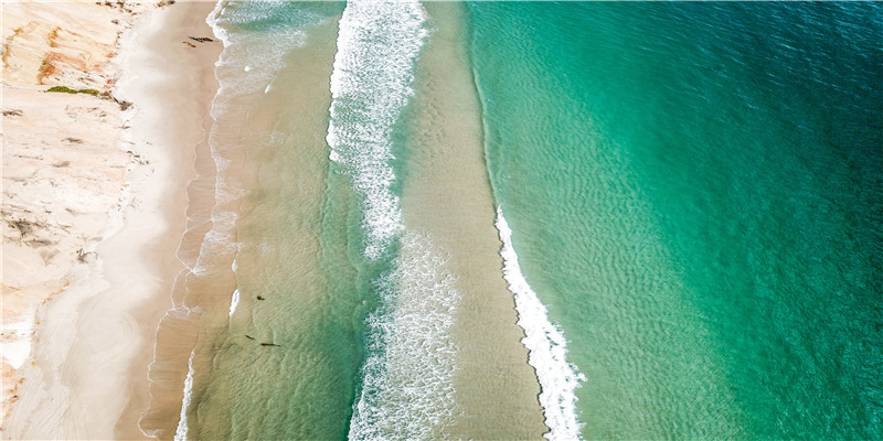 宝宝起名网免费取名(宝宝起名大全,在线起名)