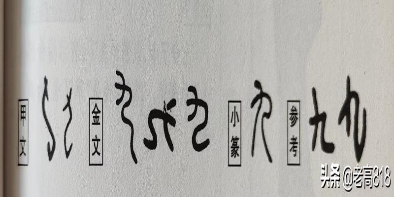 “一去二三里”，看清文字演进大道理