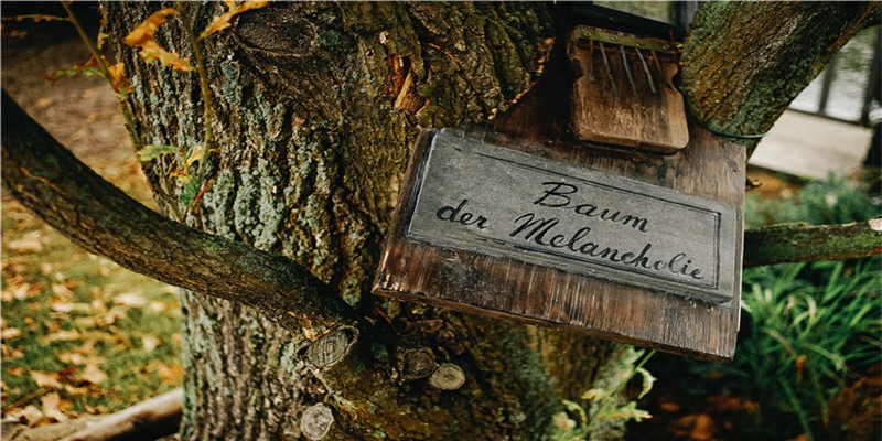 64年属龙的几点出生最好