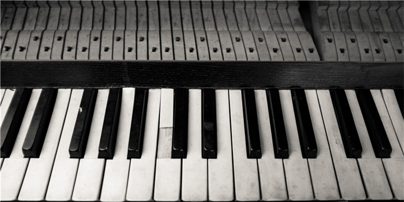 南京地铁超小号警犬名叫“状元豆”和“糖芋苗”，今年下半年正式上岗