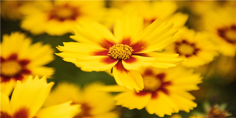 dnf搞笑名字(dnf召唤师搞笑名字大全)