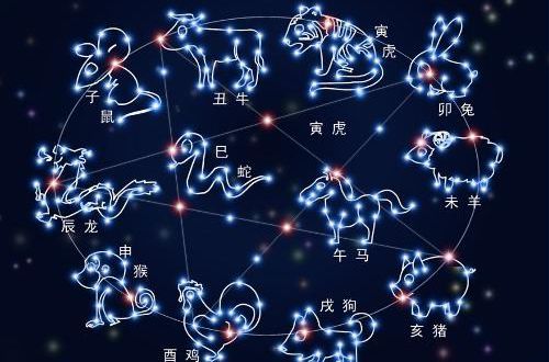 96年鼠和98虎八字合不合(生肖相冲是怎么回事)