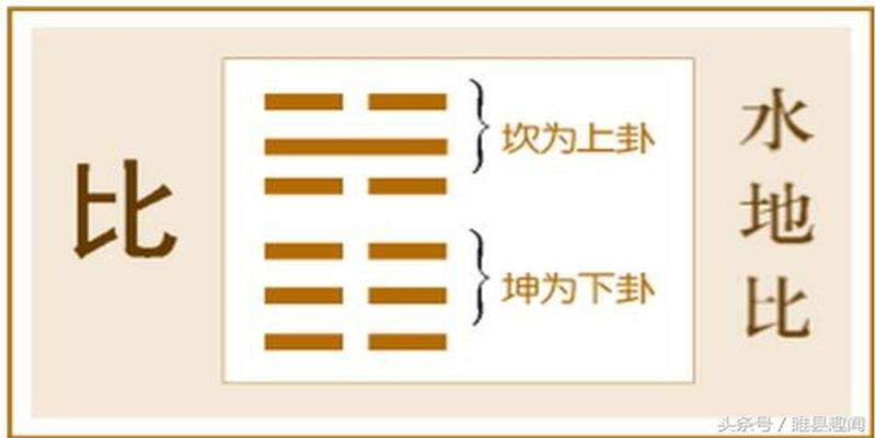 易经全文及白话翻译（完整版）第八卦、九卦、十卦