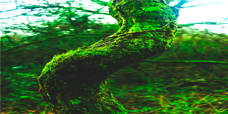 亥时右眼跳是什么预兆(鼻子鹰钩鼻子女人面相)