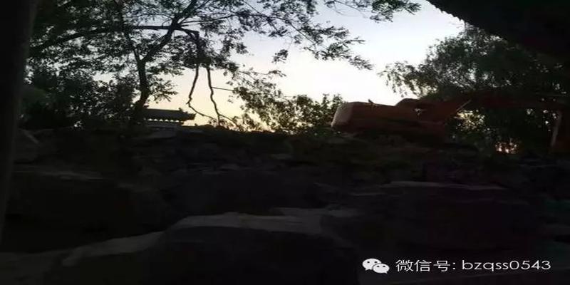 关注滨州蒲园：那一年，你我曾占山为王；而今，拆它，拆掉的却是很多滨州人的回忆