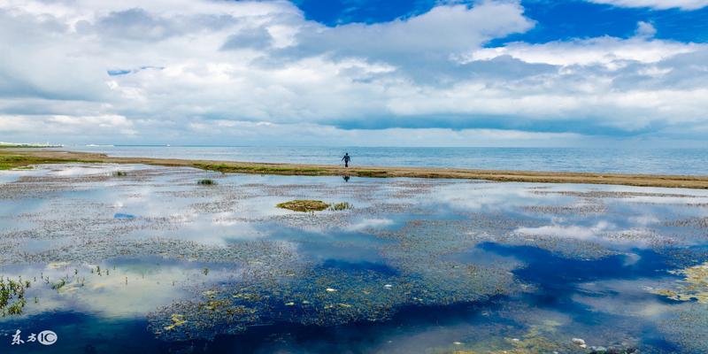 八字大运好(己土喜什么大运)