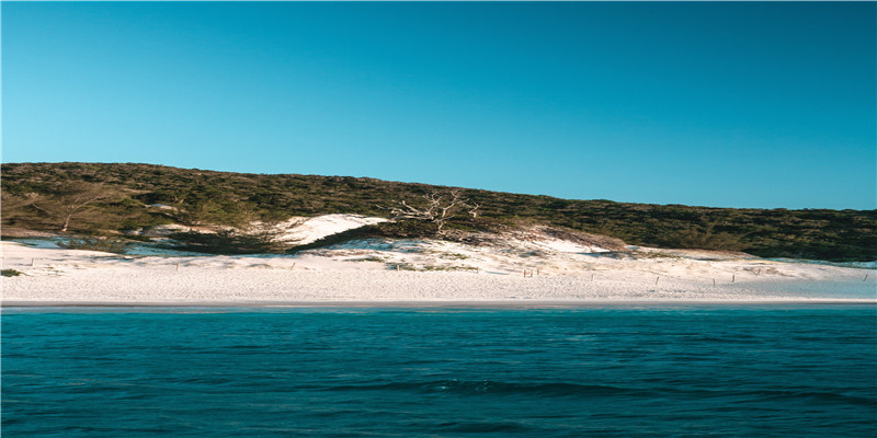 100个诗意的名字,全部来自诗词!给宝宝取名必备,赶紧收藏