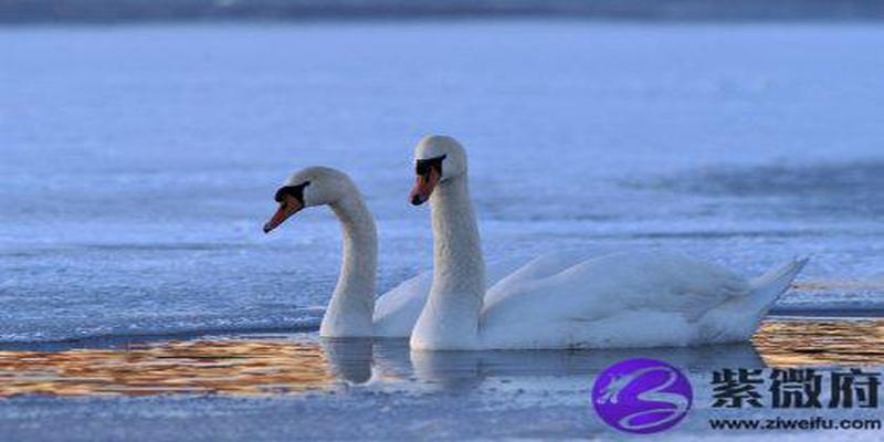 城墙土命和大溪水命相克吗(城墙土和大溪水)