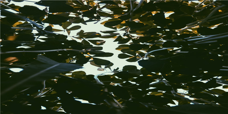 断掌的人是不能拜佛(断掌不能拜佛)