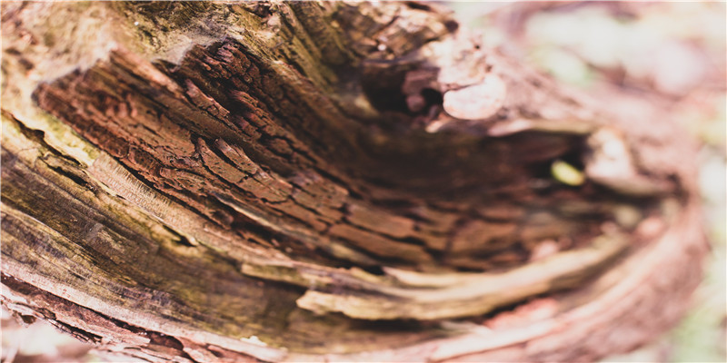 八字带三个桃花(从八字分析人的各种运象)