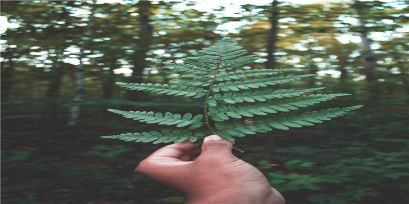 做菜前到底要不要焯水?冷水下锅好还是热水下锅好?