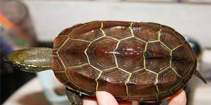 易经手机号码1~9数字的含义(手机尾号是这个数)