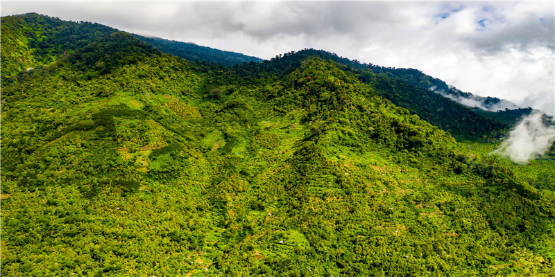 68年属猴的今年婚姻怎么样(1968年属猴的人2018年运程)
