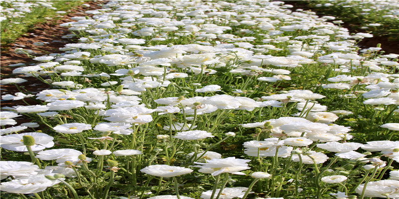 卡戴珊家疯狂狗血的一年!离婚订婚,出轨复合,小小妹偷偷生二胎