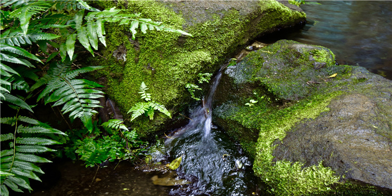 凌晨三四点梦见蛇(梦见爱因斯坦周公解梦)