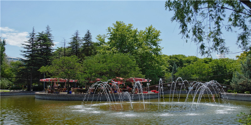 55年属羊的一生劫难(55年出生属羊今年的命运)