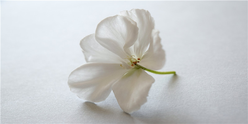 2007年3月9日是什么日子(被偷走的14年)