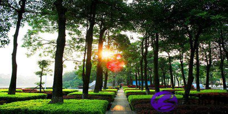 八字丙寅日柱的人命运好不好 丙寅日出生是什么命?