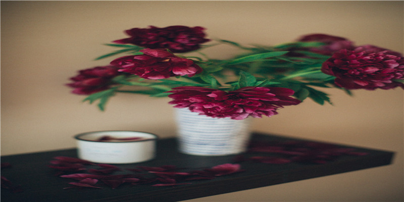 79属羊一生有几次婚姻(一辈子难逃劳碌命的生肖女)