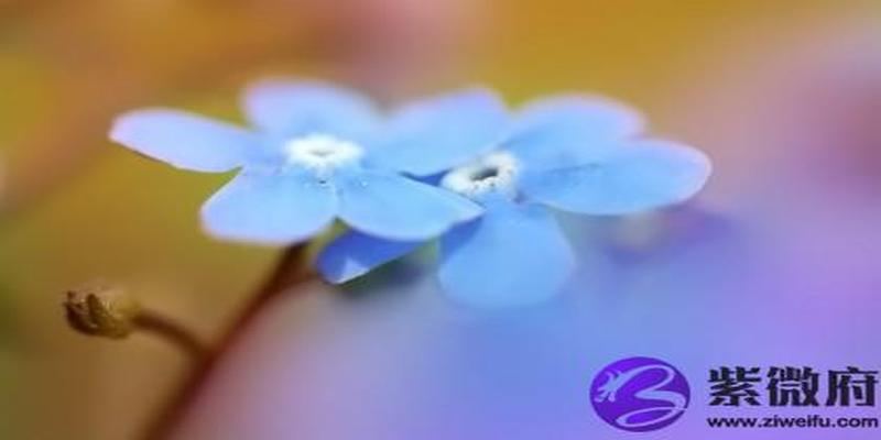 海中金是金命还是水命(大海水命和金相符吗)