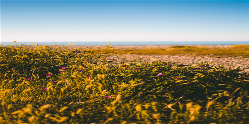 梦到家人去世预示着什么(周公解梦梦到人去世是什么意思)
