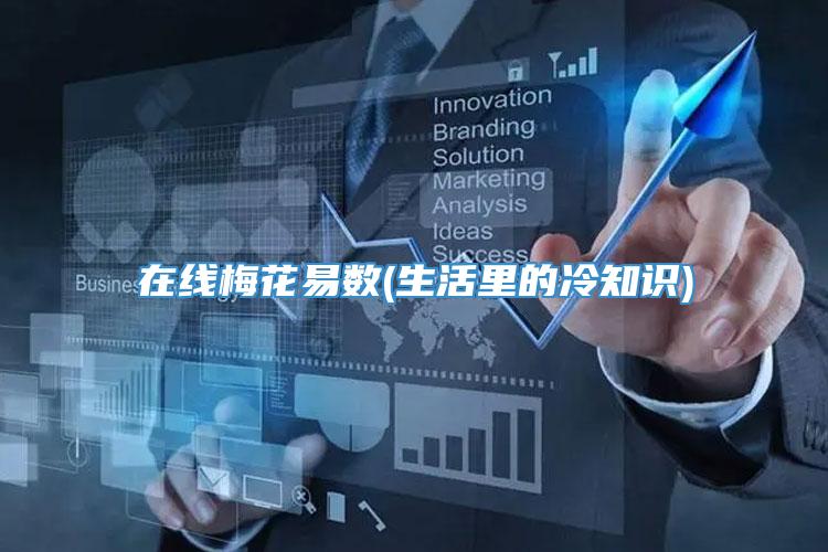 在线梅花易数(生活里的冷知识)