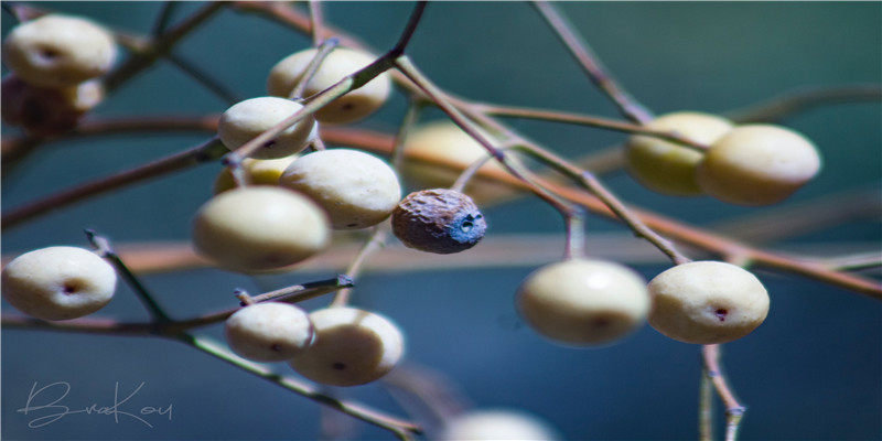 22岁出生于哪一年(22岁天才科学家曹原)